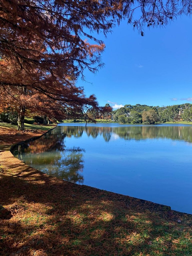 Glamuroso Studio no Laje de Pedra Mountain | 3023