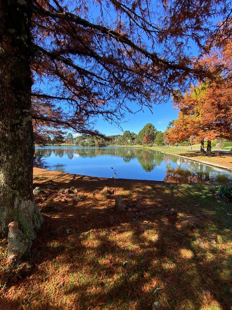 Glamuroso Studio no Laje de Pedra Mountain | 3023