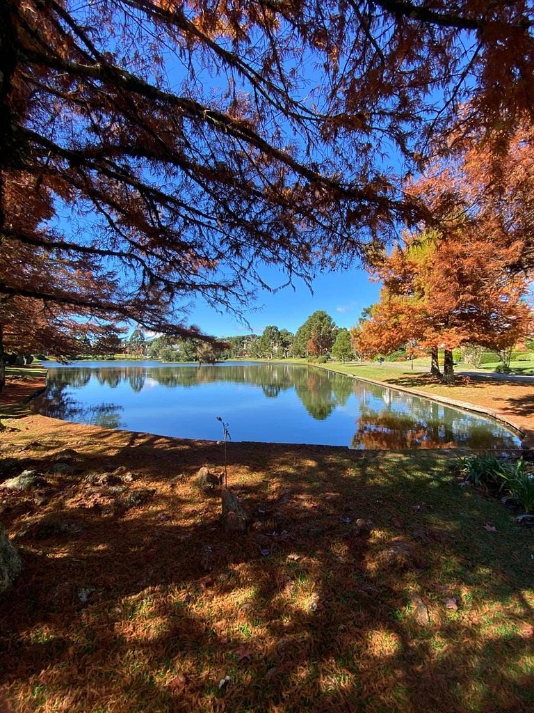 Glamuroso Studio no Laje de Pedra Mountain | 3023