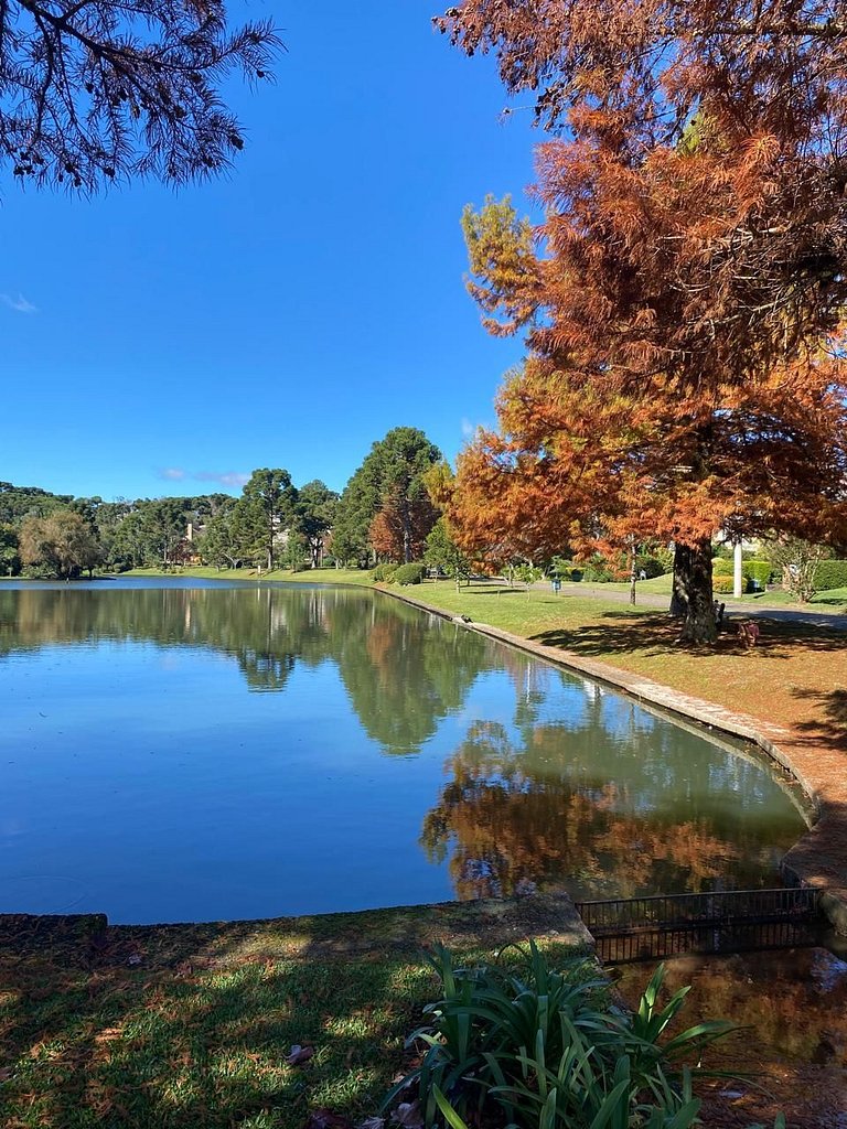 Glamuroso Studio no Laje de Pedra Mountain | 3023