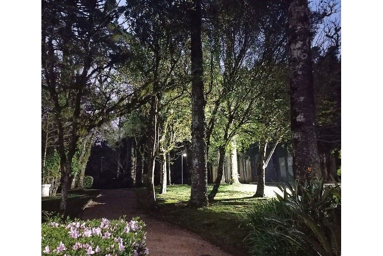 Charmoso Studio 2019 Bosque-Laje de Pedra