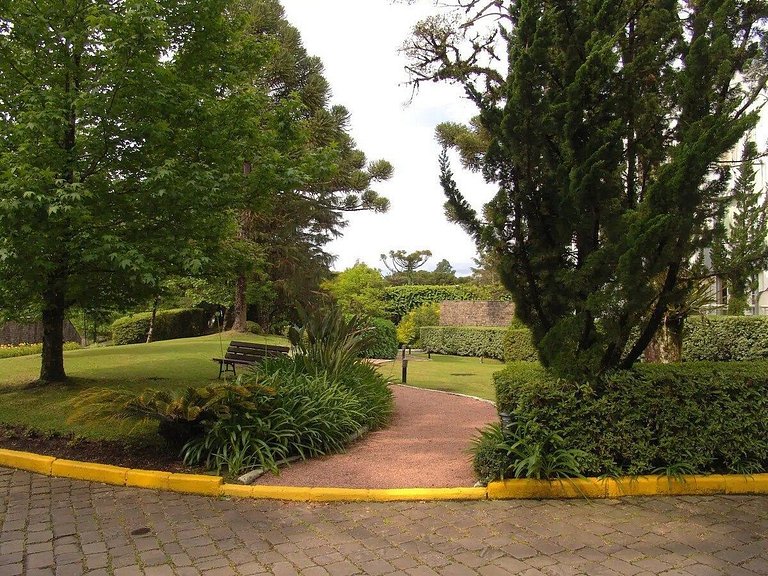 Charmoso Studio 2019 Bosque-Laje de Pedra
