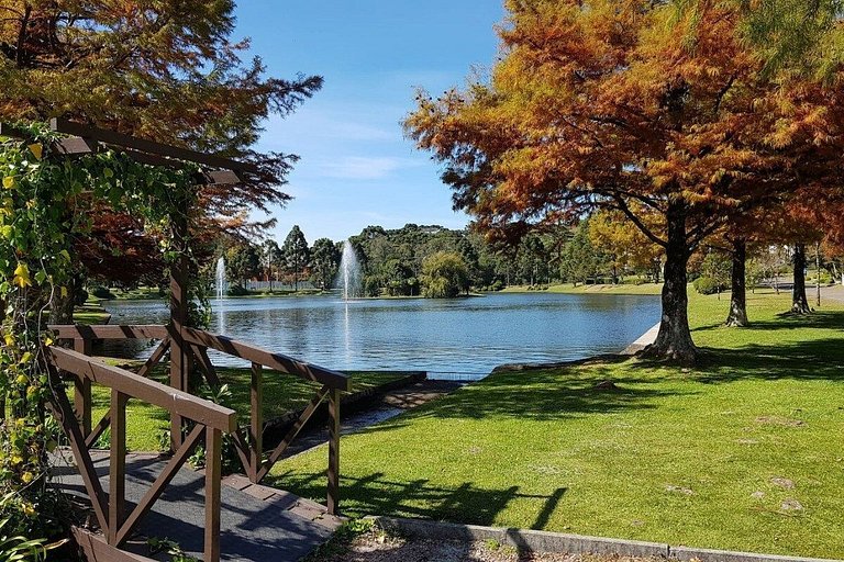 Charmoso Studio 2019 Bosque-Laje de Pedra