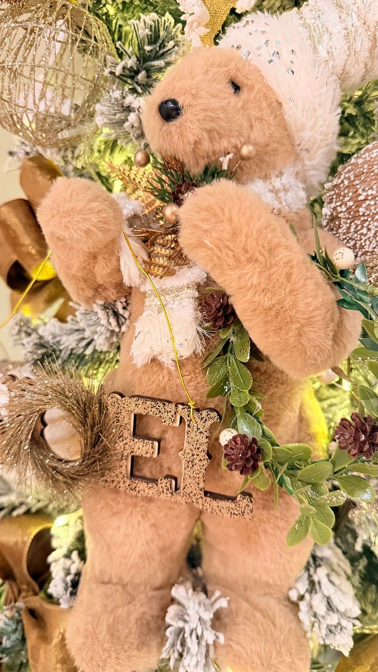 Flat Mountain Village Laje de Pedra | 2016