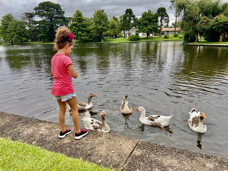 Flat Mountain Village Laje de Pedra | 2016