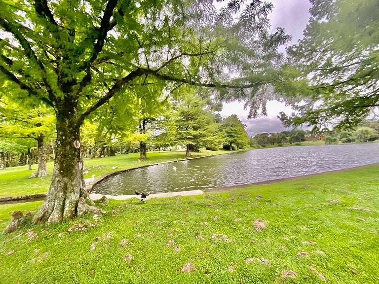 Flat Mountain Village Laje de Pedra | 2016