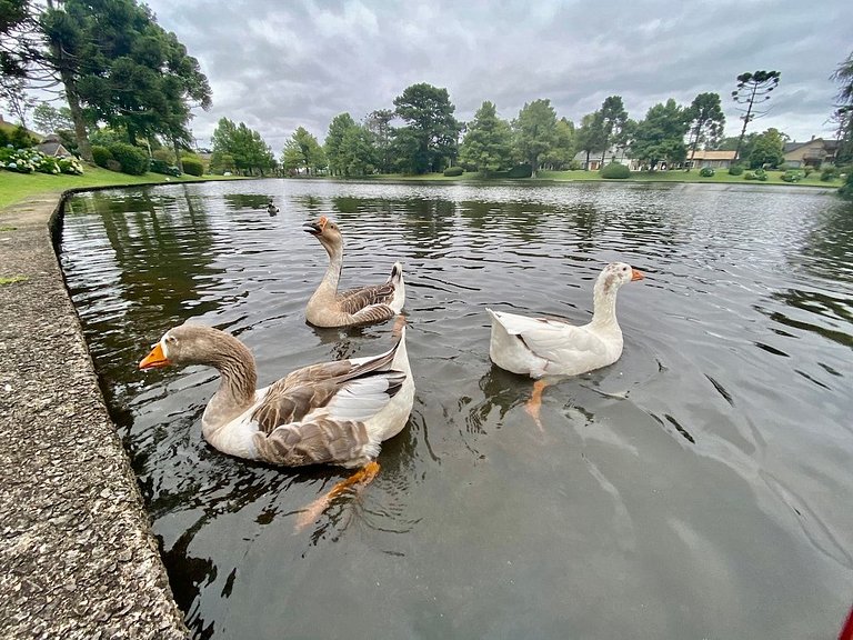 Suíte Refúgio Mountain Village Laje de Pedra 3003