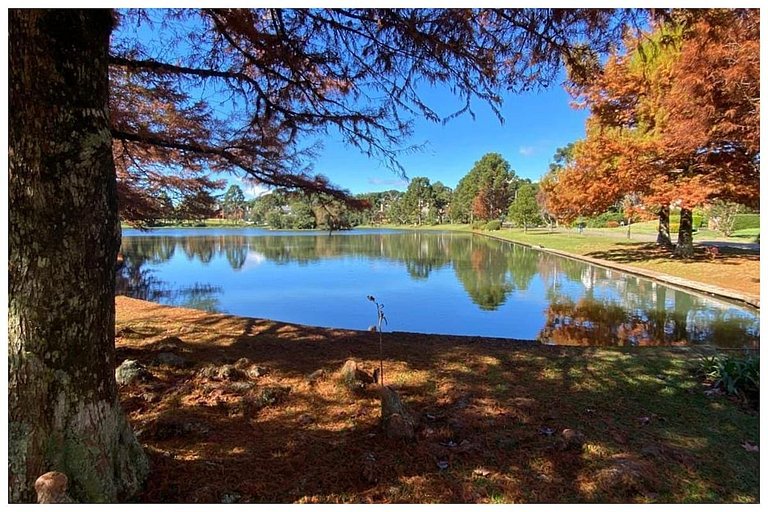 Suíte Presidencial 3018 no Laje de Pedra Mountain